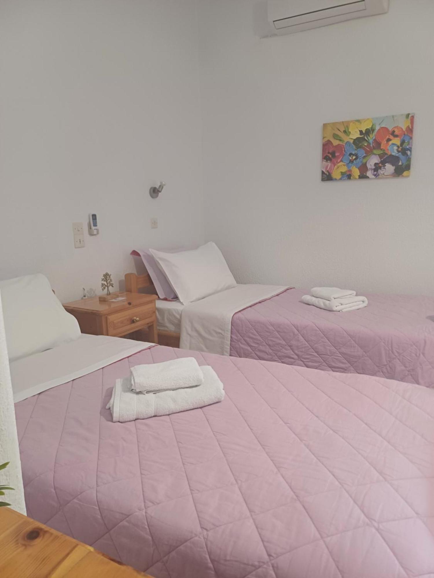 Nikolaos Studios Apartments 斯科派洛斯 外观 照片